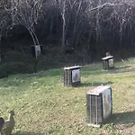 Pizzicalaluna Olistico Sulle Colline Di