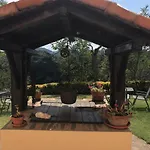 Pizzicalaluna Olistico Sulle Colline Di Vakantieboerderij Pianoro