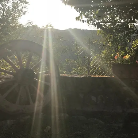 Pizzicalaluna Olistico Sulle Colline Di Κατάλυμα σε φάρμα Pianoro