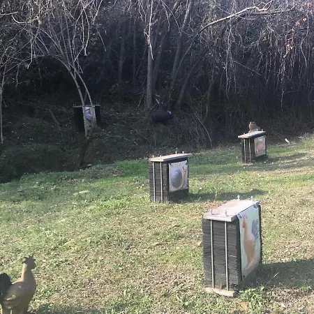Pizzicalaluna Olistico Sulle Colline Di