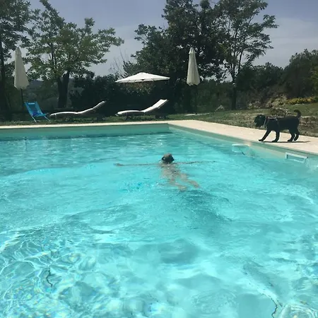 Pizzicalaluna Olistico Sulle Colline Di