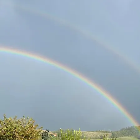 Pizzicalaluna Olistico Sulle Colline Di * بيانورو