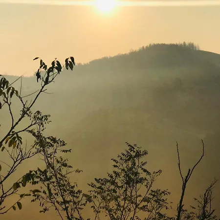 팜스테이 Pizzicalaluna Olistico Sulle Colline Di 피아노로
