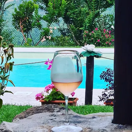 Farm stay Pizzicalaluna Pianoro