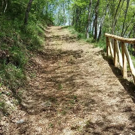 Pizzicalaluna Olistico Sulle Colline Di Κατάλυμα σε φάρμα *