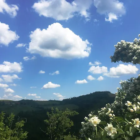Pizzicalaluna Olistico Sulle Colline Di * 피아노로