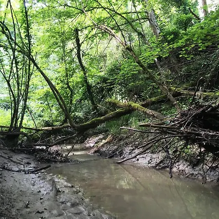 Pizzicalaluna Olistico Sulle Colline Di *