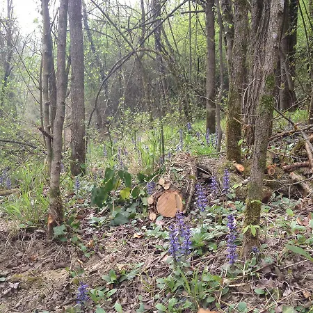 مزرعة للإقامة Pizzicalaluna Olistico Sulle Colline Di *