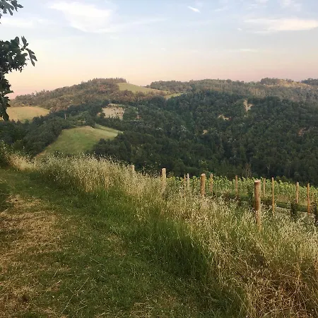 Pizzicalaluna Olistico Sulle Colline Di *