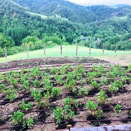 Pizzicalaluna Olistico Sulle Colline Di 피아노로