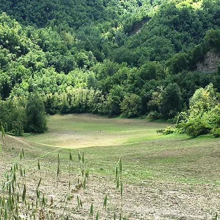 팜스테이 Pizzicalaluna Olistico Sulle Colline Di 피아노로