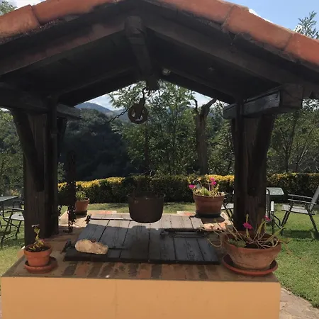Pizzicalaluna Olistico Sulle Colline Di 팜스테이 피아노로