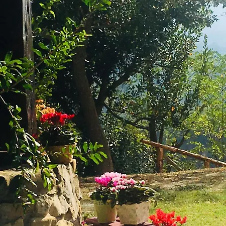Pizzicalaluna Farm stay Pianoro