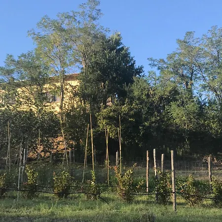 Pizzicalaluna Olistico Sulle Colline Di