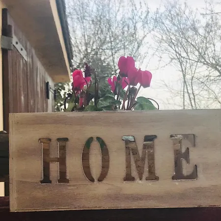 Pizzicalaluna Olistico Sulle Colline Di بيانورو