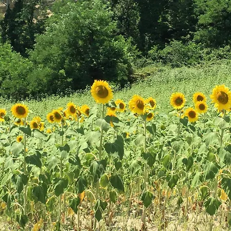 Pizzicalaluna Olistico Sulle Colline Di 피아노로
