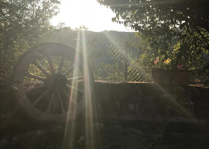 Pizzicalaluna Olistico Sulle Colline Di Κατάλυμα σε φάρμα Pianoro