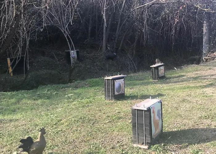 Pizzicalaluna Olistico Sulle Colline Di