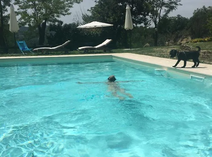 Pizzicalaluna Olistico Sulle Colline Di