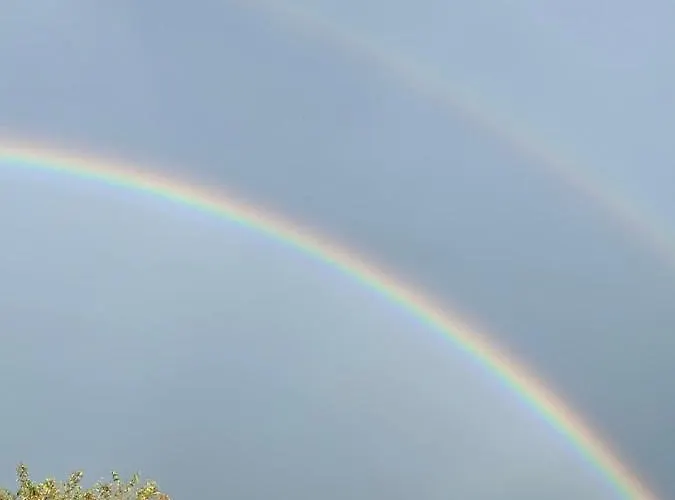 Pizzicalaluna Olistico Sulle Colline Di * Pianoro