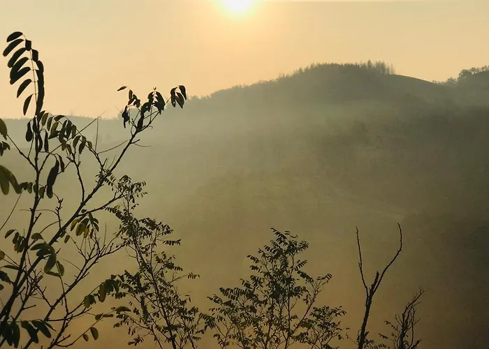 Farm stay Pizzicalaluna Olistico Sulle Colline Di Pianoro