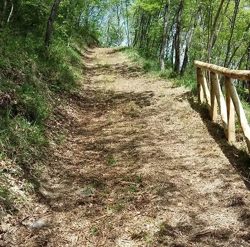 Pizzicalaluna Olistico Sulle Colline Di Farm stay *