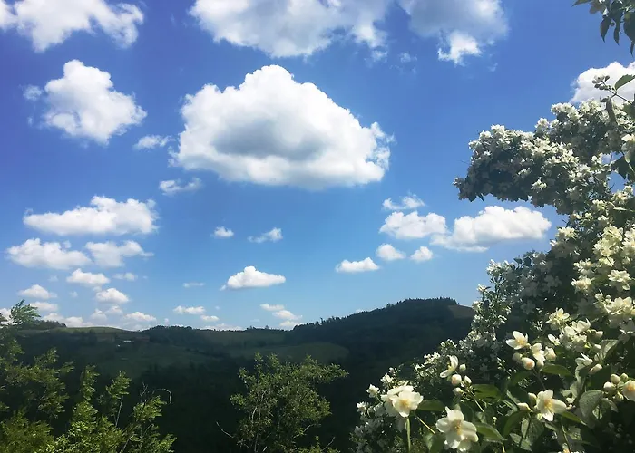 Pizzicalaluna Olistico Sulle Colline Di * Pianoro