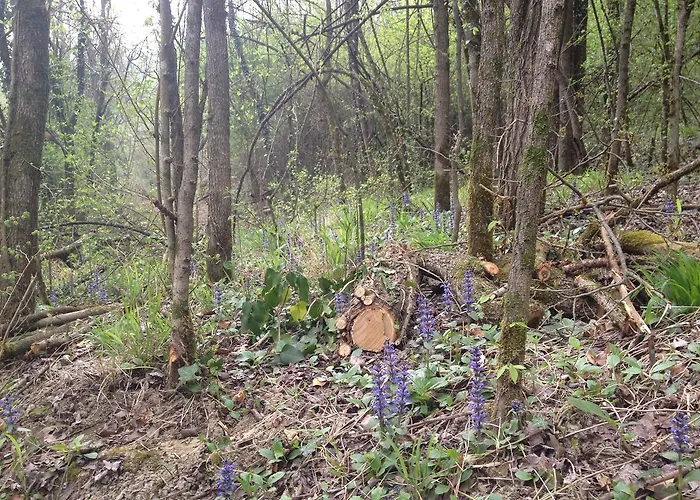 Фермерский дом Pizzicalaluna Olistico Sulle Colline Di *