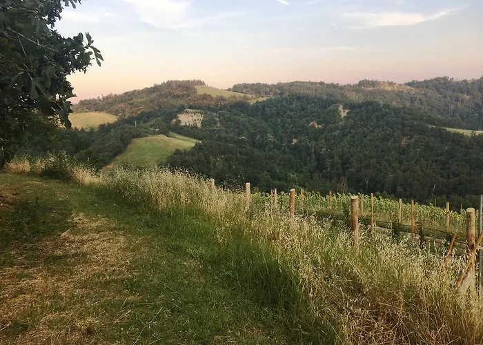 Pizzicalaluna Olistico Sulle Colline Di *