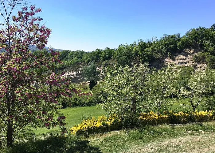 Farm stay Pizzicalaluna Olistico Sulle Colline Di Pianoro