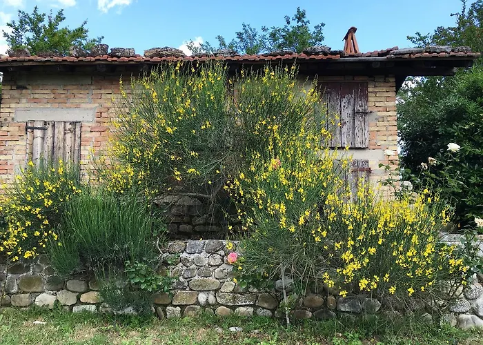 Farm stay Pizzicalaluna Olistico Sulle Colline Di