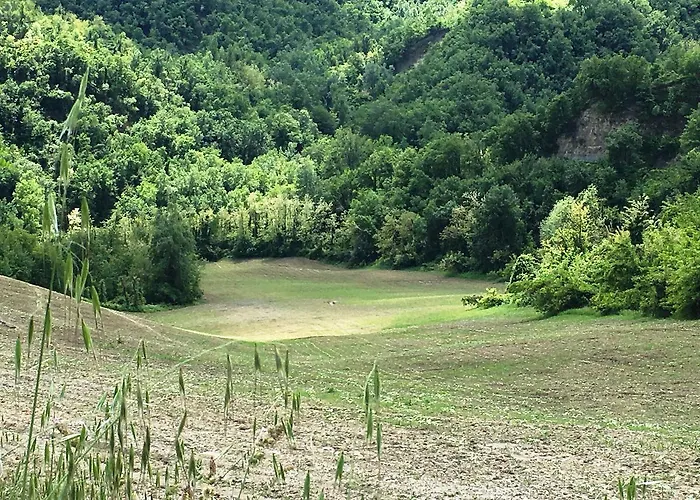Farm stay Pizzicalaluna Olistico Sulle Colline Di Pianoro