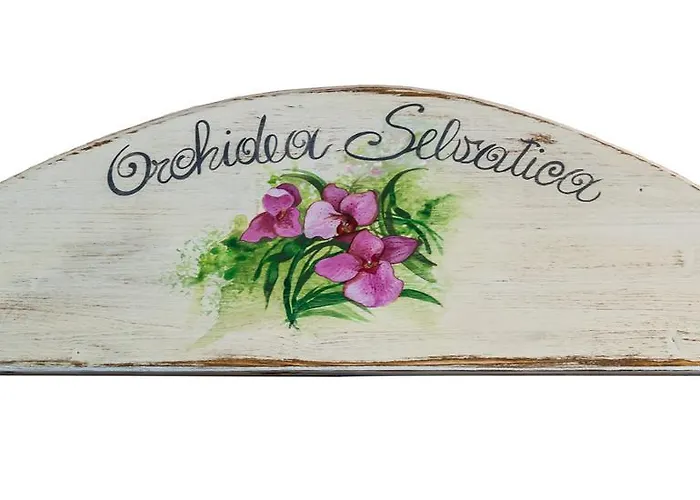 Pizzicalaluna Olistico Sulle Colline Di * Pianoro