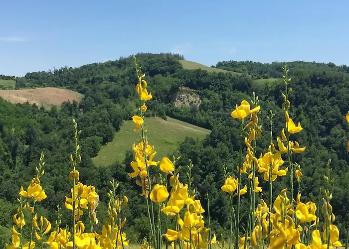 Farm stay Pizzicalaluna Olistico Sulle Colline Di