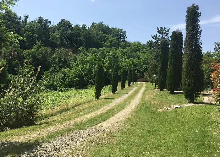 Pizzicalaluna Olistico Sulle Colline Di *