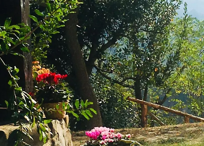 Pizzicalaluna Olistico Sulle Colline Di Alojamento de Turismo Rural Pianoro