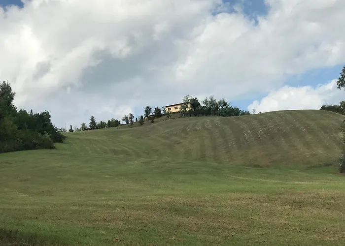 Pizzicalaluna Olistico Sulle Colline Di * Pianoro