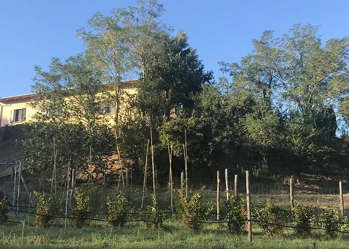 Pizzicalaluna Olistico Sulle Colline Di