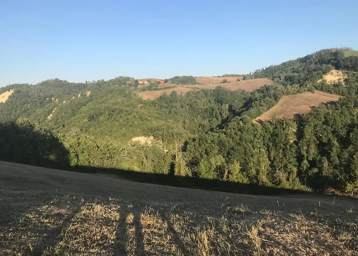 Pizzicalaluna Olistico Sulle Colline Di * Pianoro