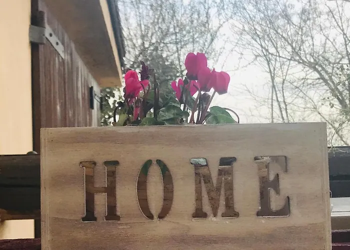 Pizzicalaluna Olistico Sulle Colline Di Pianoro