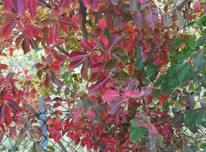 Farm stay Pizzicalaluna Olistico Sulle Colline Di Pianoro